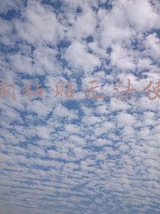复制粘贴无法使用如何解决手机(门禁卡复制入门篇)