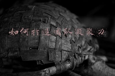 如何打造团队凝聚力