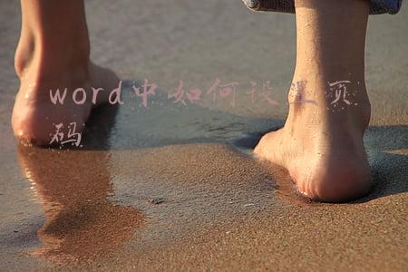 word中如何设置页码