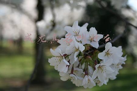 成龙真名叫什么名(成龙退出林凤娇全资持股公司，网友：原来成龙真名叫陈港生)