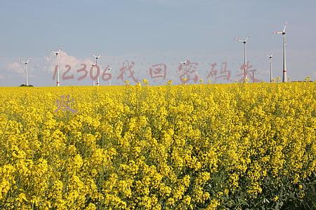 12306找回密码失败