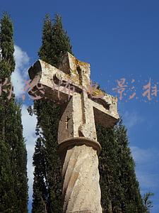 好看的恐怖电影排行榜前十名电影(2021年评分最高十大恐怖片，《灵媒》垫底，《致命感应》未进前三)