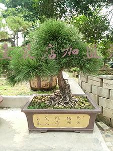 abc童装店加盟费多少