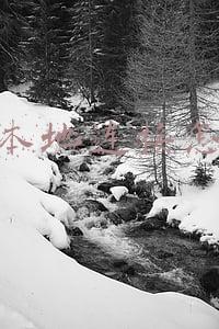 没有本地连接怎么办