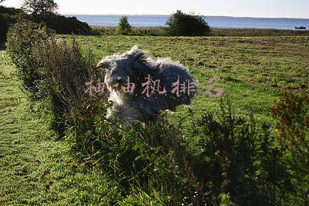 抽油机排名