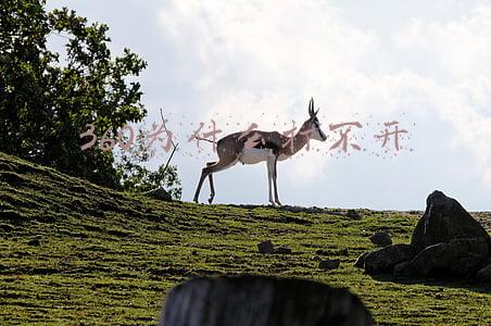 360为什么打不开