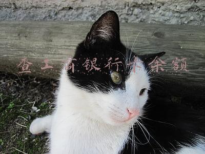查工商银行卡余额