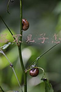 空调遥控器坏了怎么办(你家遥控器坏过吗？坏了怎么开的空调！)