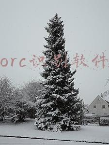 orc识别软件