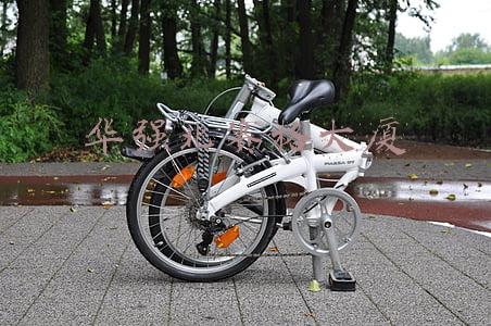 华强北赛格大厦施工单位(深圳华强北赛格广场大厦楼顶安装塔吊，进行桅杆拆除准备工作)