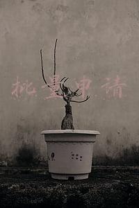 qq号批量申请(以案说法：“号商”对接“卡商”恶意批量注册QQ号码并出售的认定)