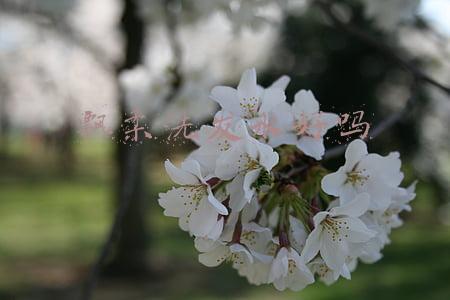 飘柔洗发水好吗