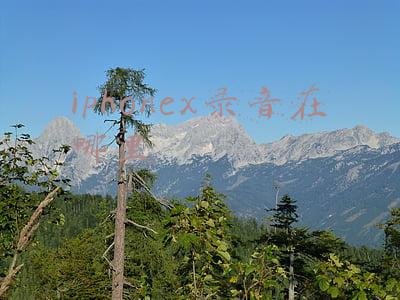 iphonex录屏功能在哪(原来iPhone自带2种录屏方法，还能加自己的声音，后悔才发现)