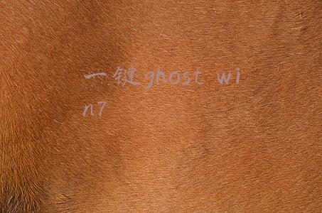 一键ghost win7
