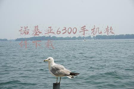 诺基亚6300手机软件下载