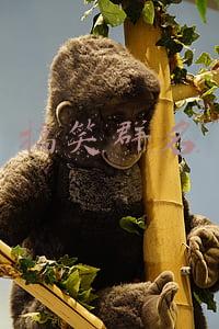 搞笑群名五个人(笑喷了！杭州网友晒出家庭群名，还有这些群里的趣事也“整齐划一”)
