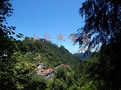 小熊煮蛋器