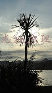 光栅原理