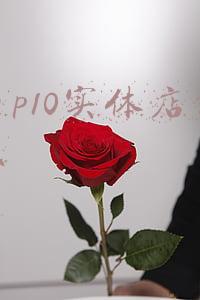 华为p10现在卖多少钱《二手华为p10现在能卖多少钱》