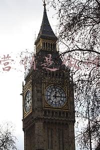 网络营销是做什么的