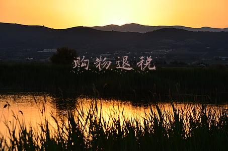 购物退税是怎么回事(花几分钟看懂免税、退税、被税)