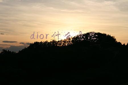 thehouseofdior什么意思(鞋，权与欲的容器)