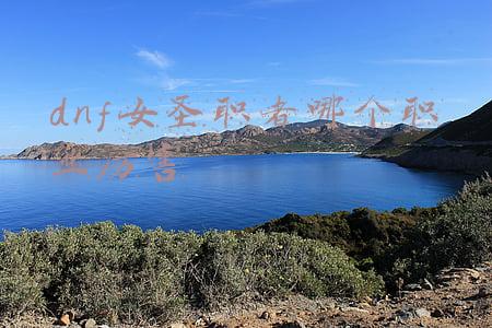 dnf圣职者哪个最厉害(DNF男圣职者哪个值得练？四职业可玩性排名)