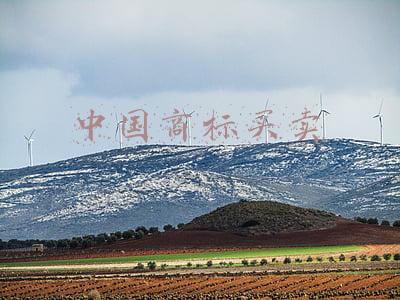 中国商标买卖