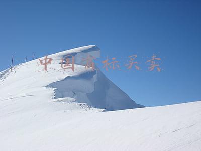 中国商标买卖