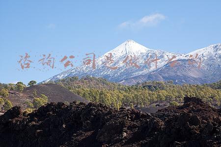 咨询公司是做什么的