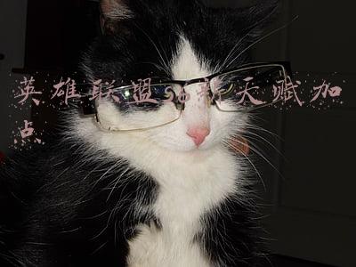 lols6天赋介绍(LOL职业选手S6天赋大全，跟着大神走上分还用愁？)