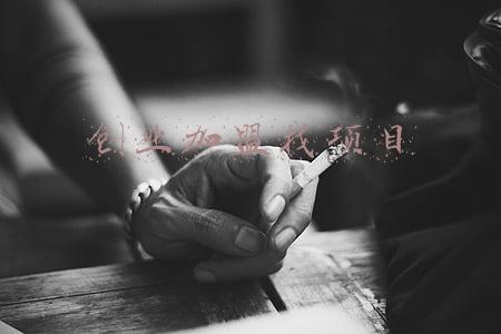 创业加盟找项目