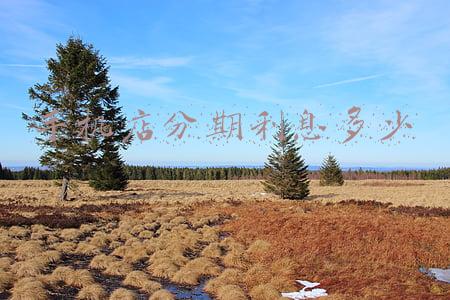 手机店分期是怎么分期的-手机店怎么分期付款