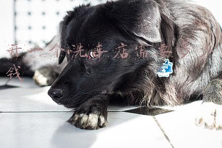 洗车店洗车要多少钱《洗车店洗车一般是多少钱一次》