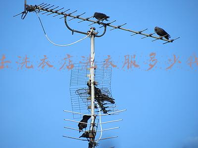 去洗衣店洗衣服多少钱 去洗衣店洗衣服多少钱