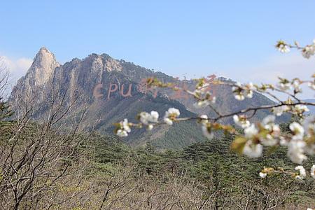 cpu的型号和主要参数(买电脑时，那些眼花缭乱的CPU参数都是啥意思？)