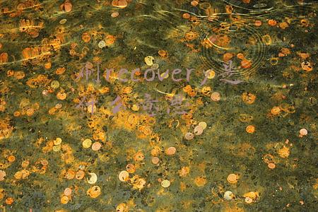 刷recovery是什么意思