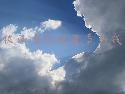 粮油店的投资多少钱