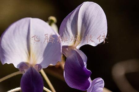 方正飞腾排版软件(侯福顺：自学排版软件 一年编排六本书)