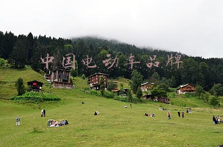 中国电动车品牌