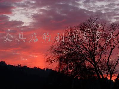 文具店利润率一般是多少(开文具店利润有多少)