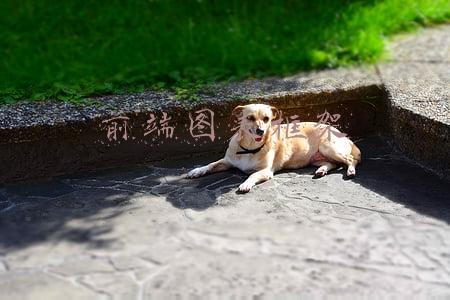 前端技术框架有哪些(Web前端开发必不可少的9个开源框架)