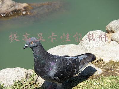 提高显卡性能软件