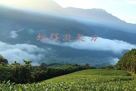 增强凝聚力