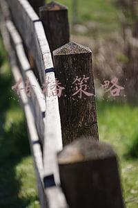 传播策略