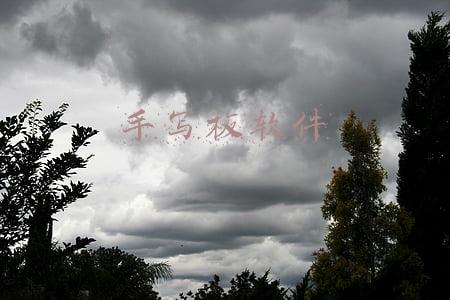 手写板软件