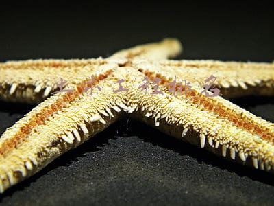 土木工程排名