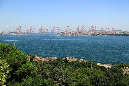 显卡排行天梯图2021