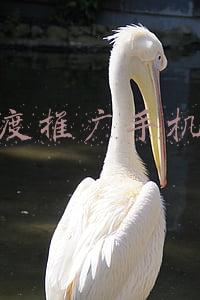 百度推广手机版免费(百度营销手机版支持客户中心账号登录--全流量上线)