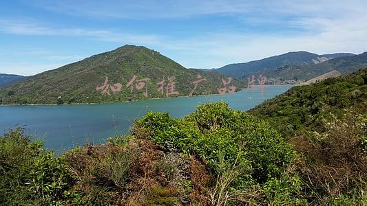 如何树立品牌形象(教你如何打造成功的品牌形象)
